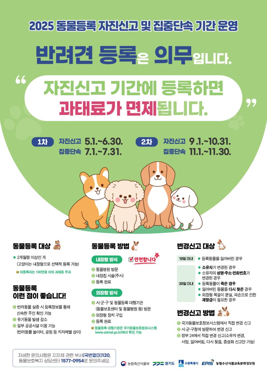2025년 동물...