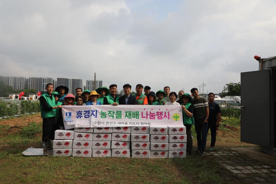 2025. 6. 17. 권선구 새마을지도자협의회 휴경지 경작 감자 수확